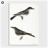 2-77_Zoology-of-New-York_picture-crop