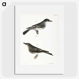 2-77_Zoology-of-New-York_picture