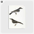 2-77_Zoology-of-New-York_postcard