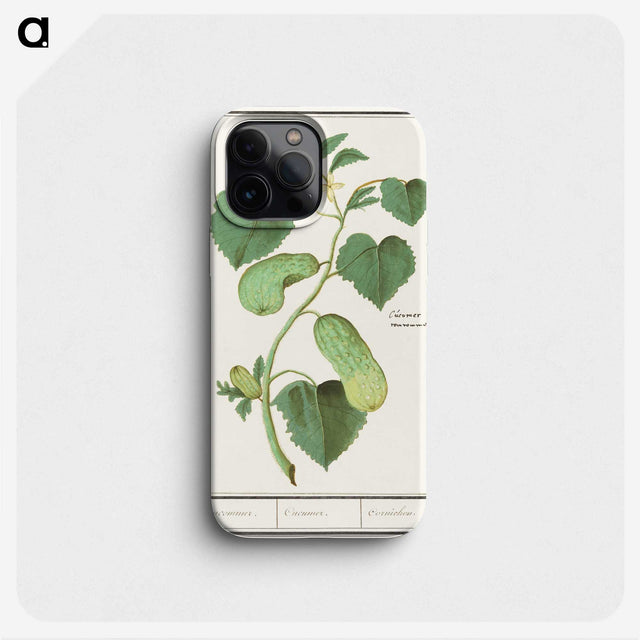 2-78_Anselmus-Boetius-de-Boodt_phone