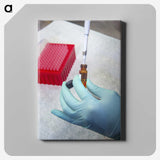 2-78_COVID-19_canvas
