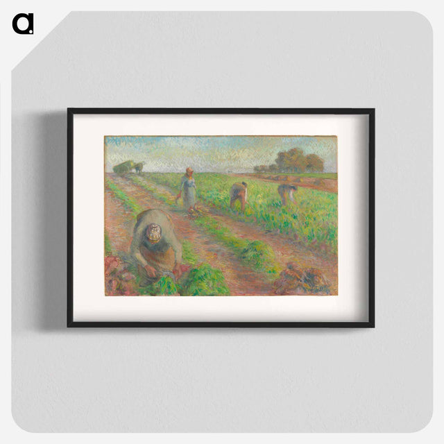 アートポスター-The Beet Harvest - カミーユ ピサロ Poster.