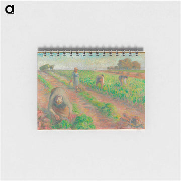 The Beet Harvest - カミーユ ピサロ Memo.