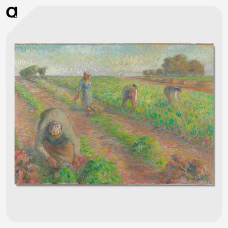 2-78_Camille-Pissarro_picture-crop