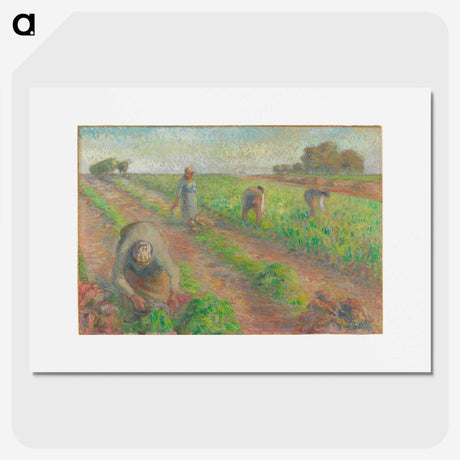2-78_Camille-Pissarro_picture