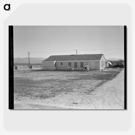 2-78_Dorothea-Lange_picture-crop