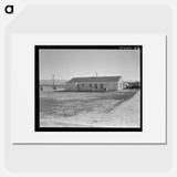 San Fernando federal subsistence homesteads - Dorothea Lange Poster.