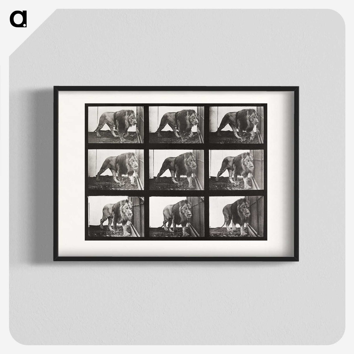 2-78_Eadweard-Muybridge_blk
