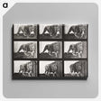2-78_Eadweard-Muybridge_canvas