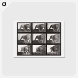 アートポストカード-Animal Locomotion Plate 721
 - エドワード マイブリッジ Postcard.