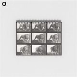 2-78_Eadweard-Muybridge_memo