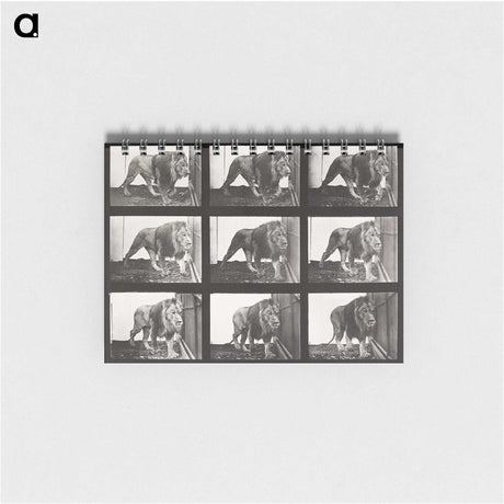 2-78_Eadweard-Muybridge_memo
