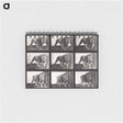 アートメモ帳-Animal Locomotion Plate 721
 - エドワード マイブリッジ Memo.