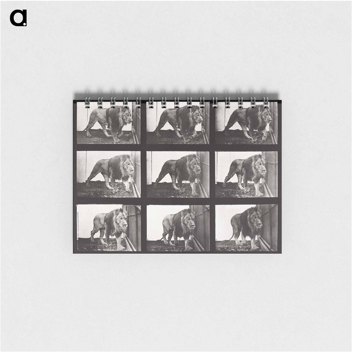 アートメモ帳-Animal Locomotion Plate 721
 - エドワード マイブリッジ Memo.