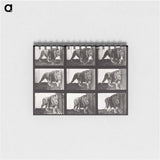 アートメモ帳-Animal Locomotion Plate 721
 - エドワード マイブリッジ Memo.
