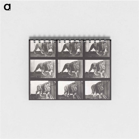 アートメモ帳-Animal Locomotion Plate 721
 - エドワード マイブリッジ Memo.