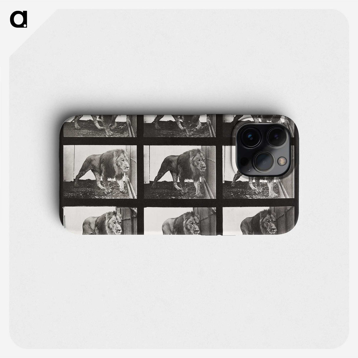 2-78_Eadweard-Muybridge_phone