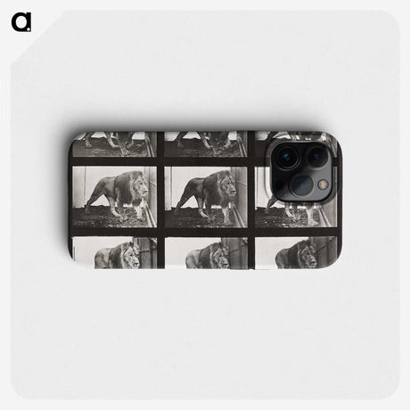 2-78_Eadweard-Muybridge_phone