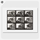 2-78_Eadweard-Muybridge_picture