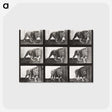 2-78_Eadweard-Muybridge_postcard