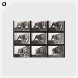 アートポストカード-Animal Locomotion Plate 721
 - エドワード マイブリッジ Postcard.
