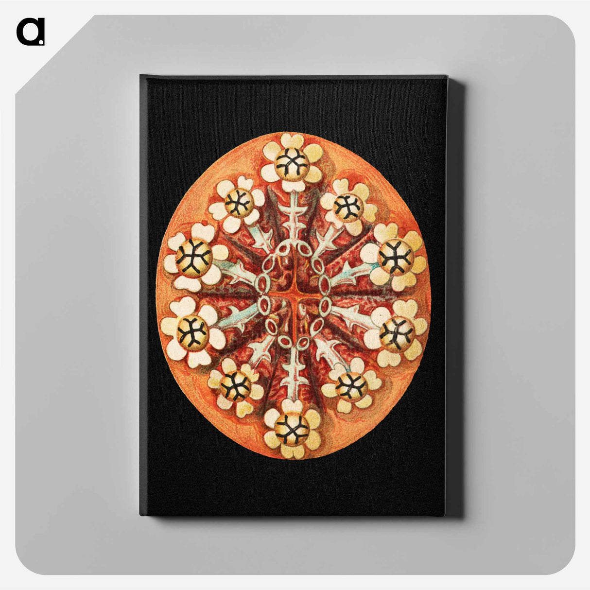 Colorful vintage tunicate marine life illustration - エルンスト ヘッケル Canvas.