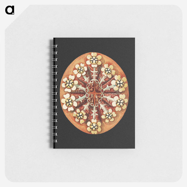 2-78_Ernst-Haeckel_memo