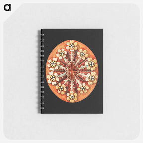 アートメモ帳-Colorful vintage tunicate marine life illustration - エルンスト ヘッケル Memo.