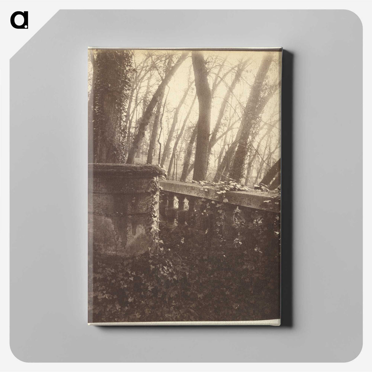 2-78_Eugene-Atget_canvas