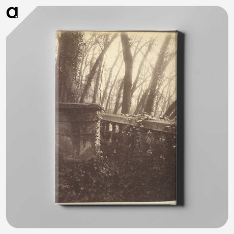 2-78_Eugene-Atget_canvas