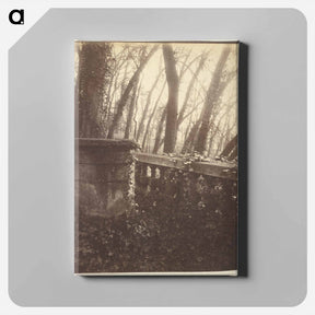 アートパネル-Saint-Cloud Park, Paris
 - ウジェーヌ アジェ Canvas.