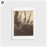 アートポストカード-Saint-Cloud Park, Paris
 - ウジェーヌ アジェ Postcard.