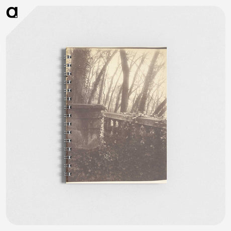 2-78_Eugene-Atget_memo