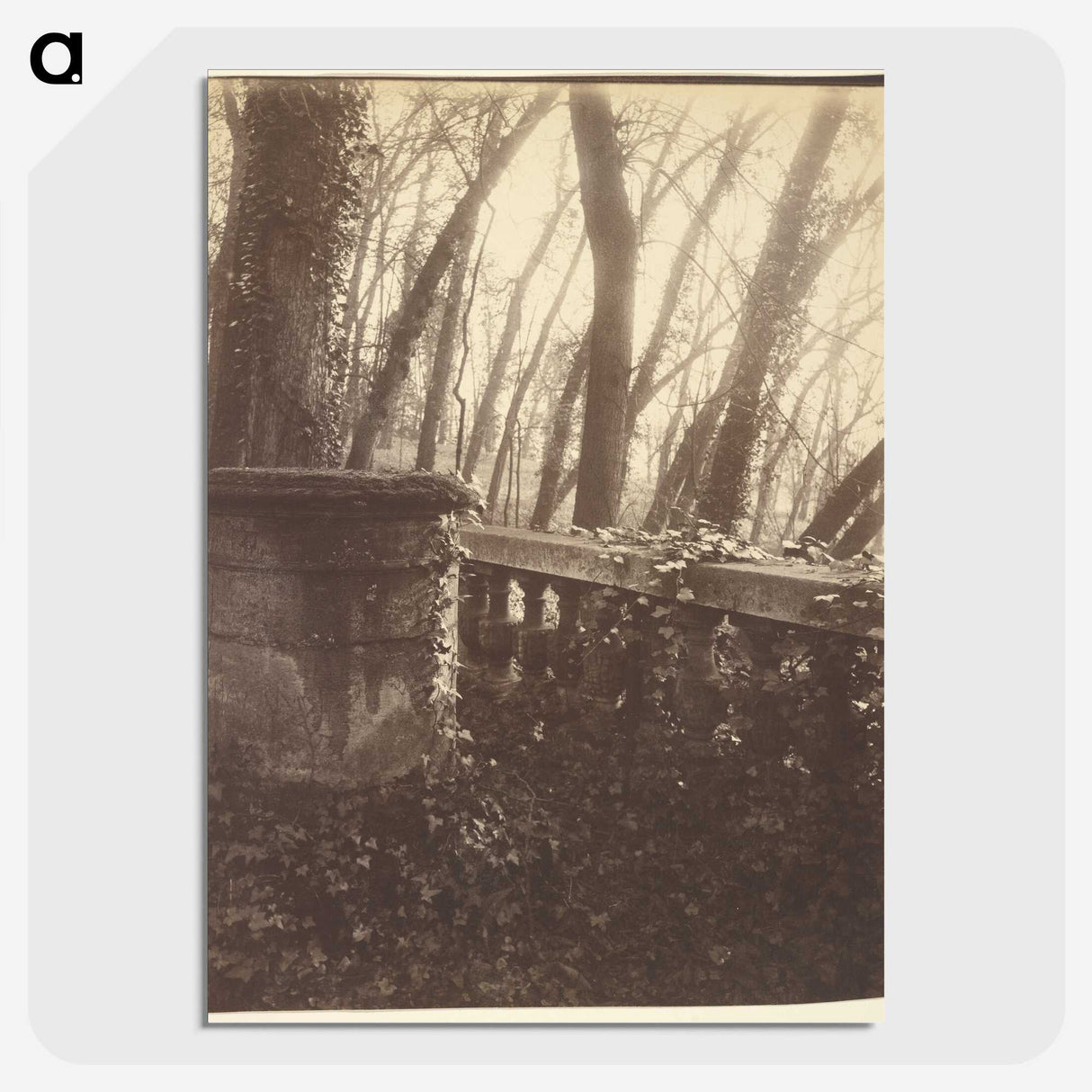 2-78_Eugene-Atget_picture-crop