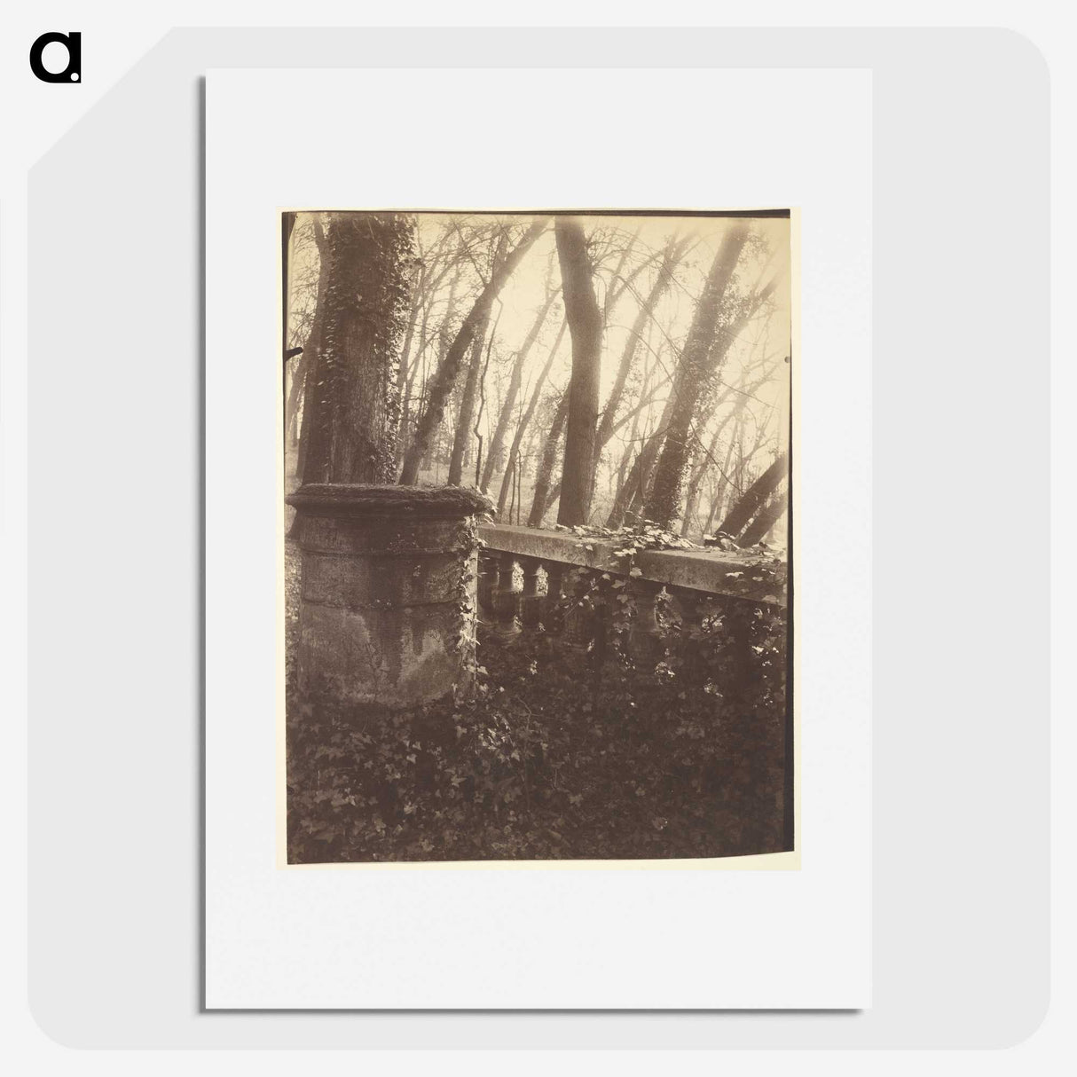 2-78_Eugene-Atget_picture