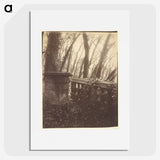2-78_Eugene-Atget_picture