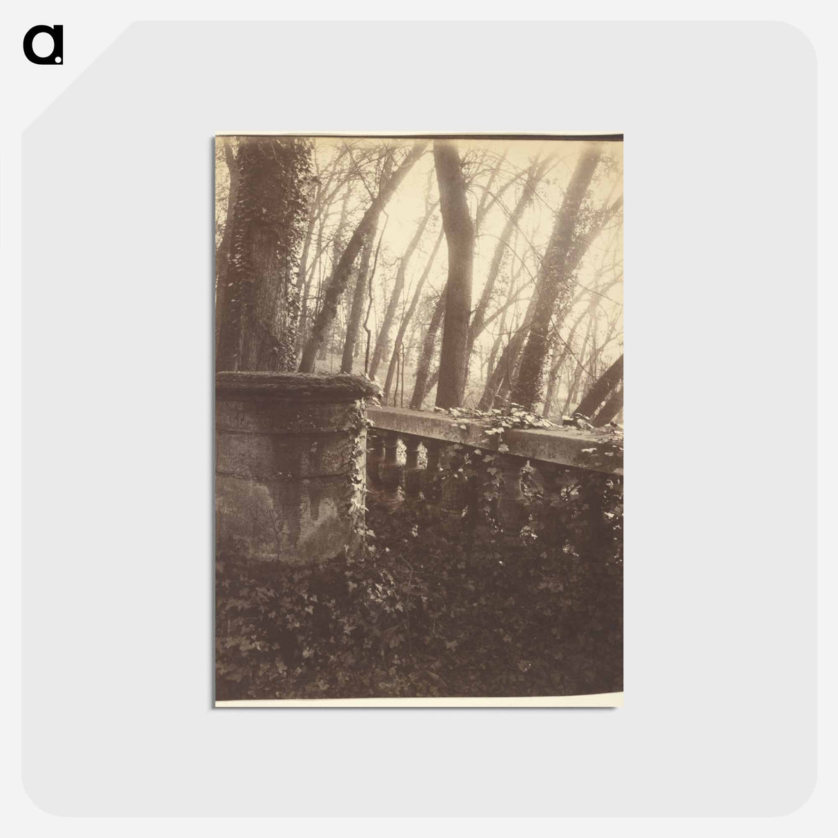 アートポストカード-Saint-Cloud Park, Paris
 - ウジェーヌ アジェ Postcard.
