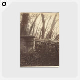 アートポストカード-Saint-Cloud Park, Paris
 - ウジェーヌ アジェ Postcard.