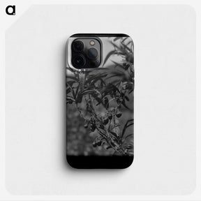 2-78_Frederick-Charles-Brockett_phone