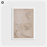 アートポストカード-Fowl Body, Lateral View
 - ジョージ スタッブス Postcard.