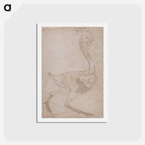 アートポストカード-Fowl Body, Lateral View
 - ジョージ スタッブス Postcard.