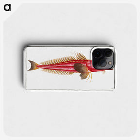 2-78_Ichtyologie-ou-Histoire-naturelle_phone