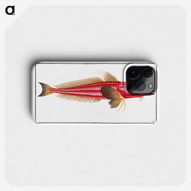 2-78_Ichtyologie-ou-Histoire-naturelle_phone