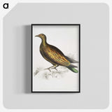2-78_Indian-Zoology_blk-crop