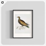 2-78_Indian-Zoology_blk