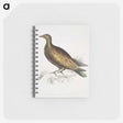 2-78_Indian-Zoology_memo