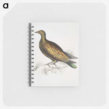 2-78_Indian-Zoology_memo
