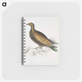 2-78_Indian-Zoology_memo
