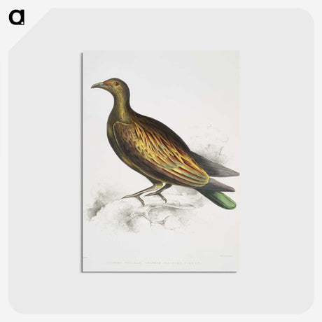 2-78_Indian-Zoology_postcard