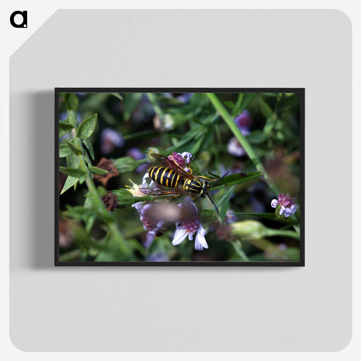 2-78_Insects-Unlocked-Project_blk-crop